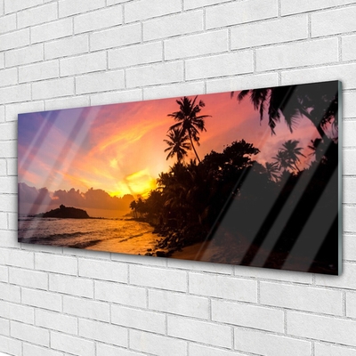 Plexiglas schilderij Sea sun palm landschap