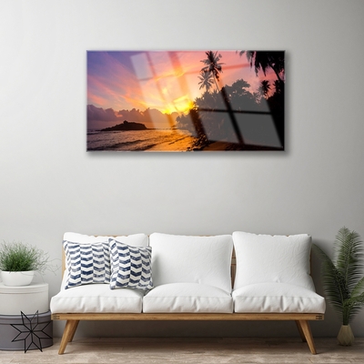 Plexiglas schilderij Sea sun palm landschap