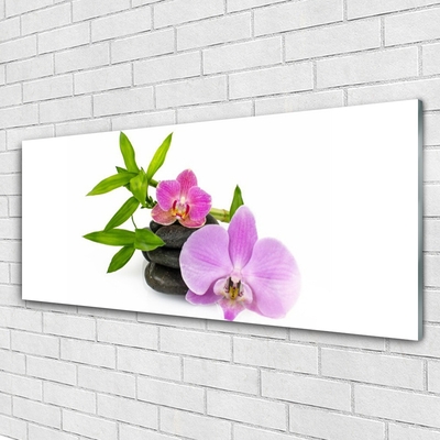 Plexiglas schilderij Flower orchideeinstallatie