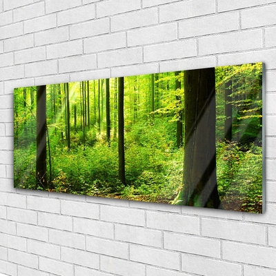 Plexiglas schilderij Green forest trees nature