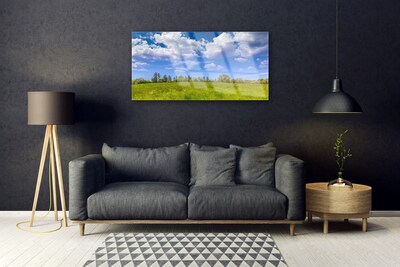 Plexiglas schilderij Weidegras heaven landschap