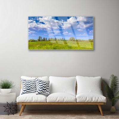 Plexiglas schilderij Weidegras heaven landschap