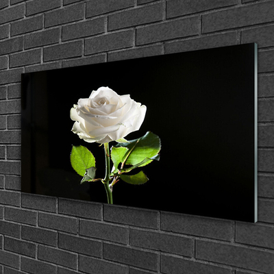Plexiglas schilderij Rose flower plant natuur