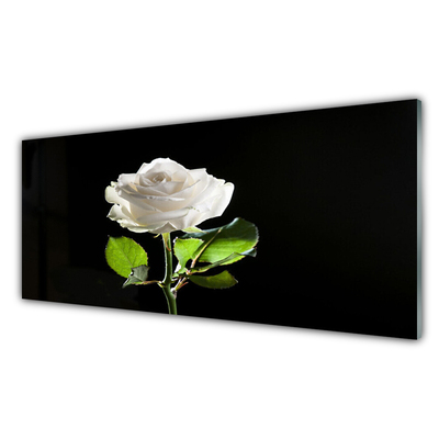 Plexiglas schilderij Rose flower plant natuur