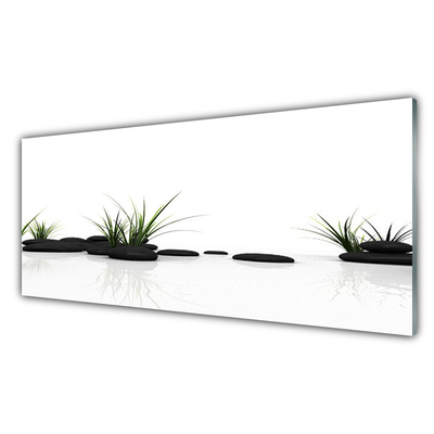 Plexiglas schilderij Grass water mirror