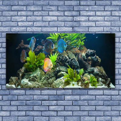 Plexiglas schilderij Fish aquarium nature