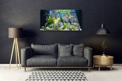 Plexiglas schilderij Fish aquarium nature