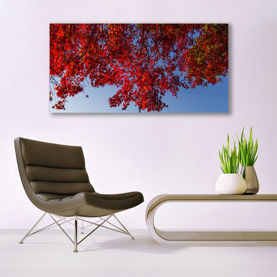 Plexiglas schilderij Leaves nature boomtakken