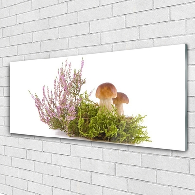 Plexiglas schilderij Plant mushrooms nature