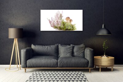 Plexiglas schilderij Plant mushrooms nature