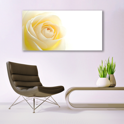 Plexiglas schilderij Rose flower plant natuur