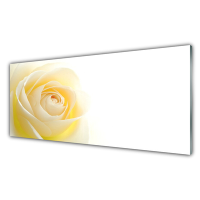 Plexiglas schilderij Rose flower plant natuur