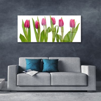 Plexiglas schilderij Tulpen bloemen plant