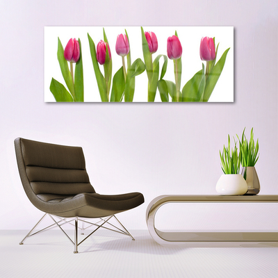 Plexiglas schilderij Tulpen bloemen plant