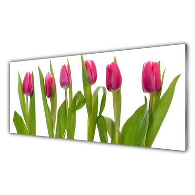 Plexiglas schilderij Tulpen bloemen plant