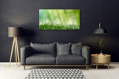 Plexiglas schilderij Grass nature plant
