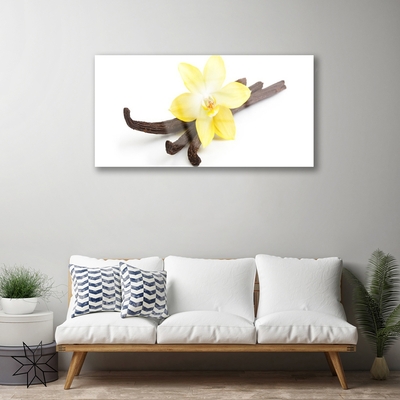 Plexiglas schilderij Vanilla plant nature
