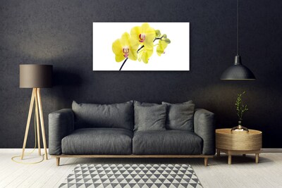 Plexiglas schilderij Bloemen plant nature