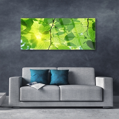Plexiglas schilderij Bladeren natuur plant