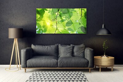 Plexiglas schilderij Bladeren natuur plant