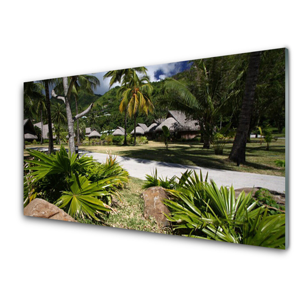 Plexiglas schilderij Bladeren palmbomen nature