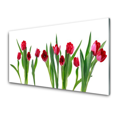 Plexiglas schilderij Tulpen bloemen plant