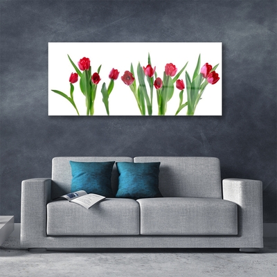 Plexiglas schilderij Tulpen bloemen plant