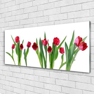 Plexiglas schilderij Tulpen bloemen plant