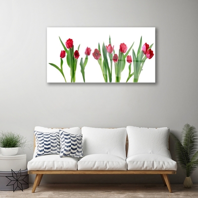 Plexiglas schilderij Tulpen bloemen plant