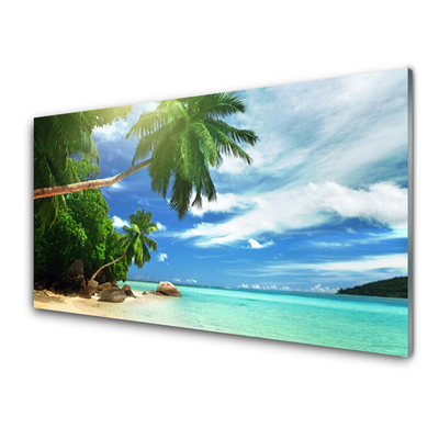 Plexiglas schilderij Palm beach overzees landschap