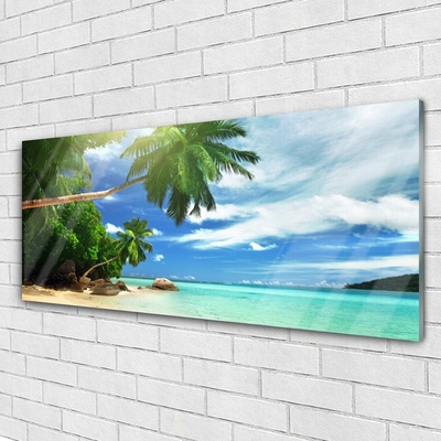 Plexiglas schilderij Palm beach overzees landschap