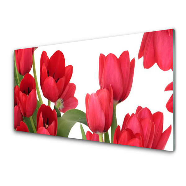 Plexiglas schilderij Tulpen bloemen plant