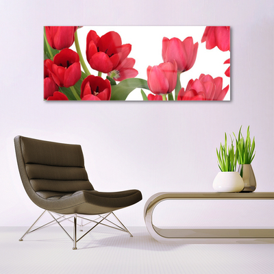 Plexiglas schilderij Tulpen bloemen plant