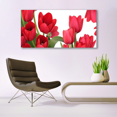 Plexiglas schilderij Tulpen bloemen plant