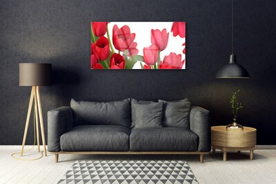 Plexiglas schilderij Tulpen bloemen plant