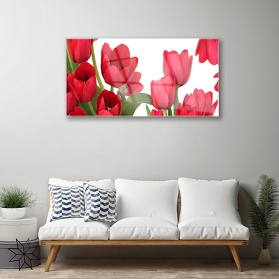 Plexiglas schilderij Tulpen bloemen plant