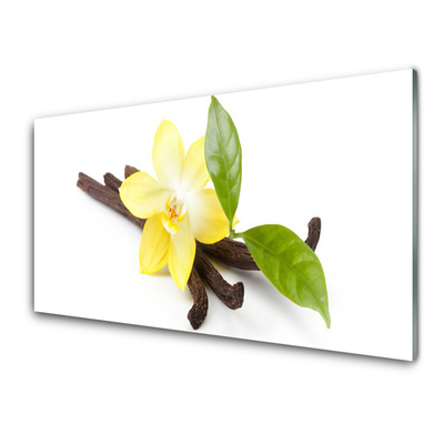 Plexiglas schilderij Vanilla bladeren van de planten