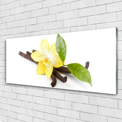 Plexiglas schilderij Vanilla bladeren van de planten