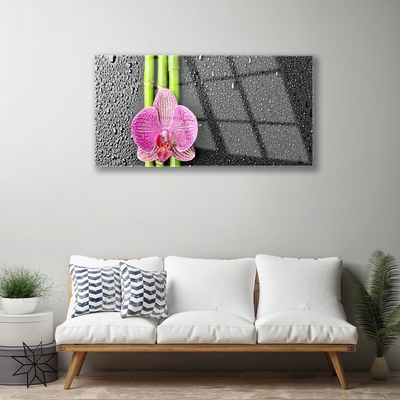 Plexiglas schilderij Bamboo flower plant natuur