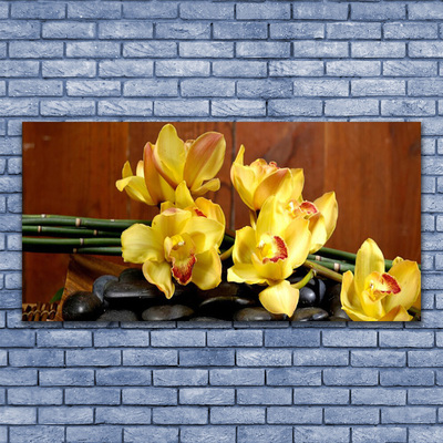 Plexiglas schilderij Flower orchideeinstallatie