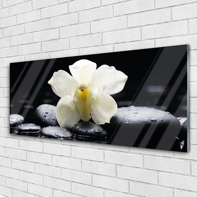 Plexiglas schilderij Flower orchideeinstallatie