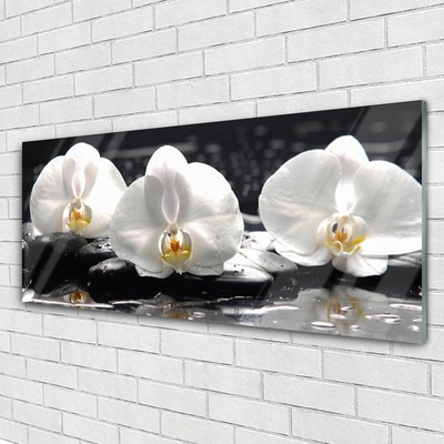 Plexiglas schilderij Witte orchidee bloem