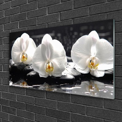 Plexiglas schilderij Witte orchidee bloem