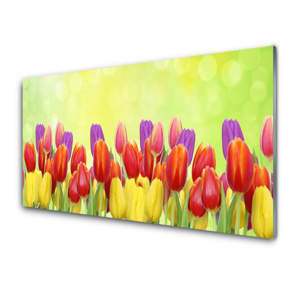 Plexiglas schilderij Tulpen bloemen plant