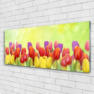 Plexiglas schilderij Tulpen bloemen plant