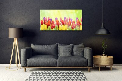 Plexiglas schilderij Tulpen bloemen plant