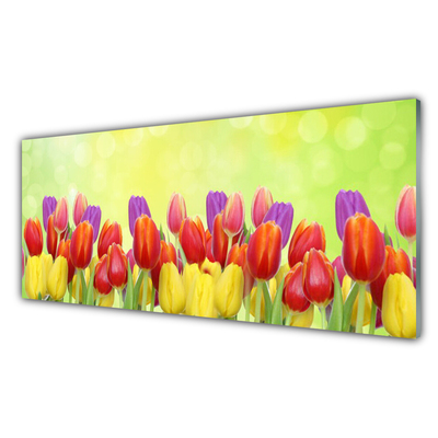 Plexiglas schilderij Tulpen bloemen plant