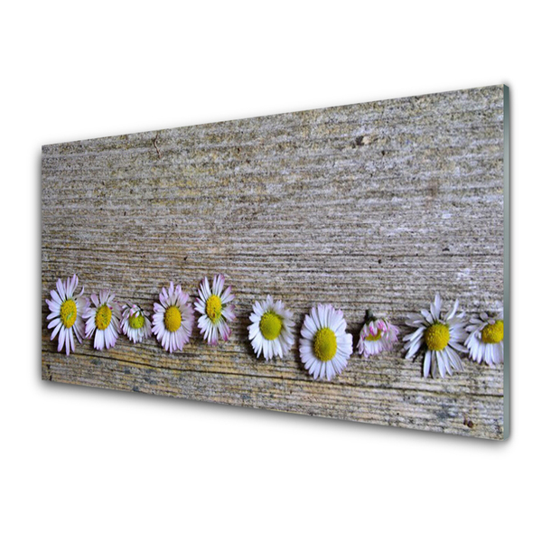 Plexiglas schilderij Daisy plant nature