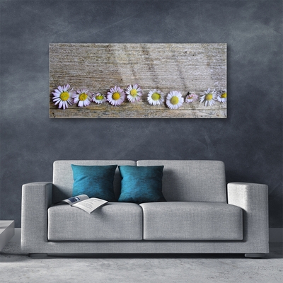 Plexiglas schilderij Daisy plant nature