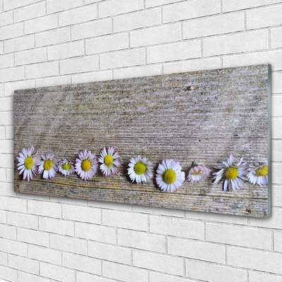 Plexiglas schilderij Daisy plant nature